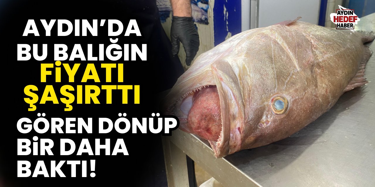 Aydın'daki bu balığın fiyatı dudak uçuklattı!
