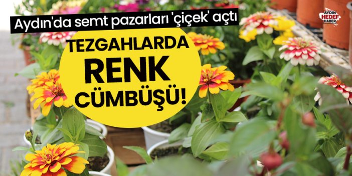 Aydın'da semt pazarları 'çiçek' açtı