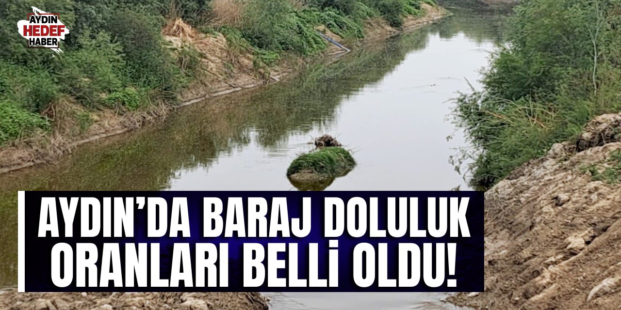Aydın'da baraj doluluk oranları belli oldu