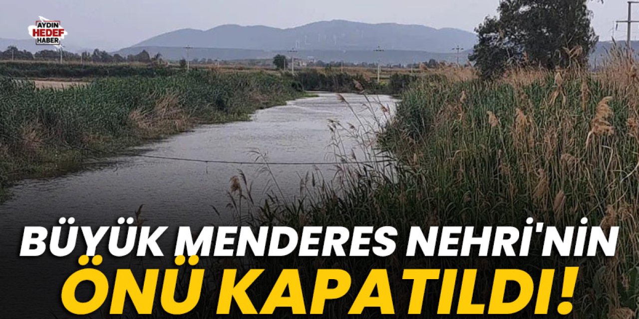 Büyük Menderes Nehri'nin önü kapatıldı!