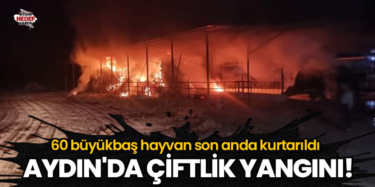 Aydın'da çiftlik yangını!