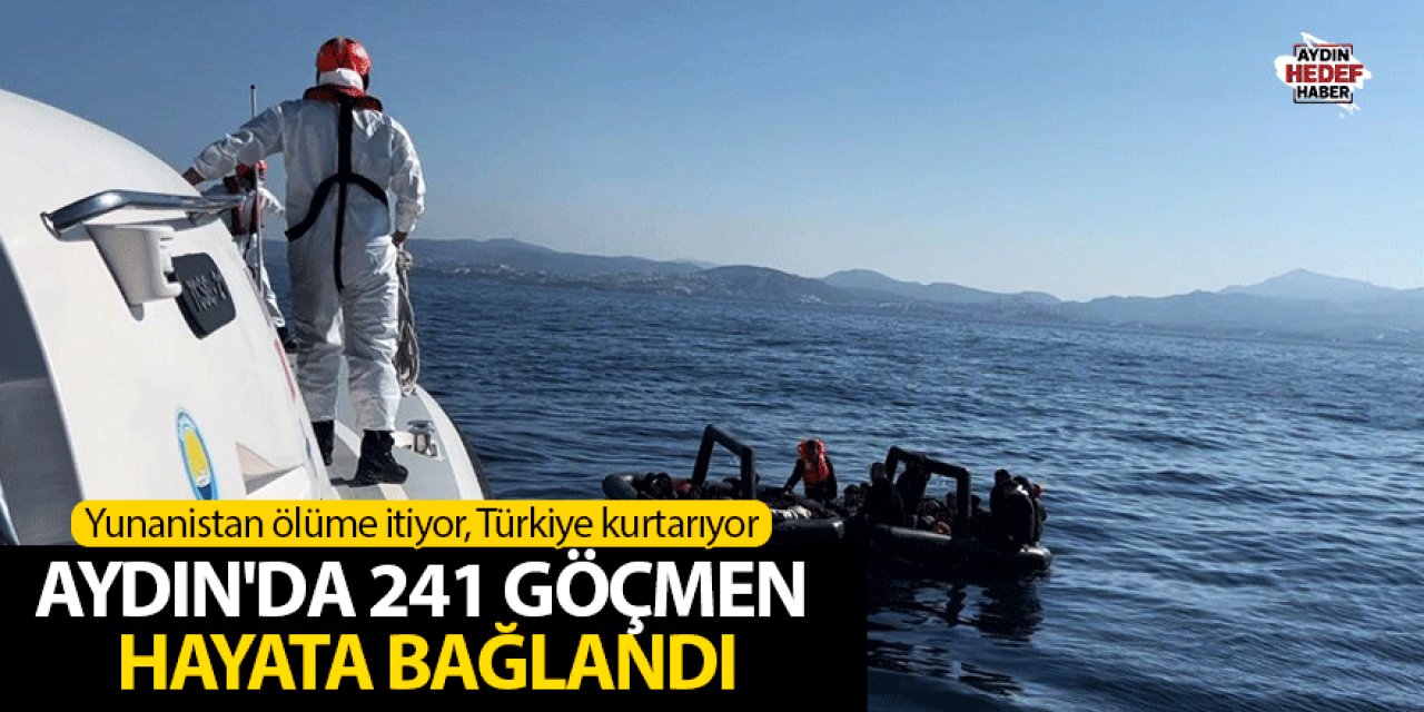 Aydın'da 241 göçmen hayata bağlandı