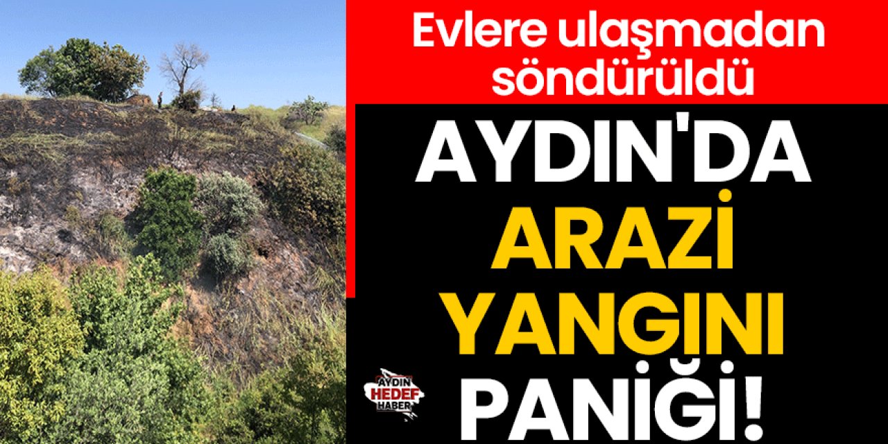 Aydın'da arazi yangını paniği!