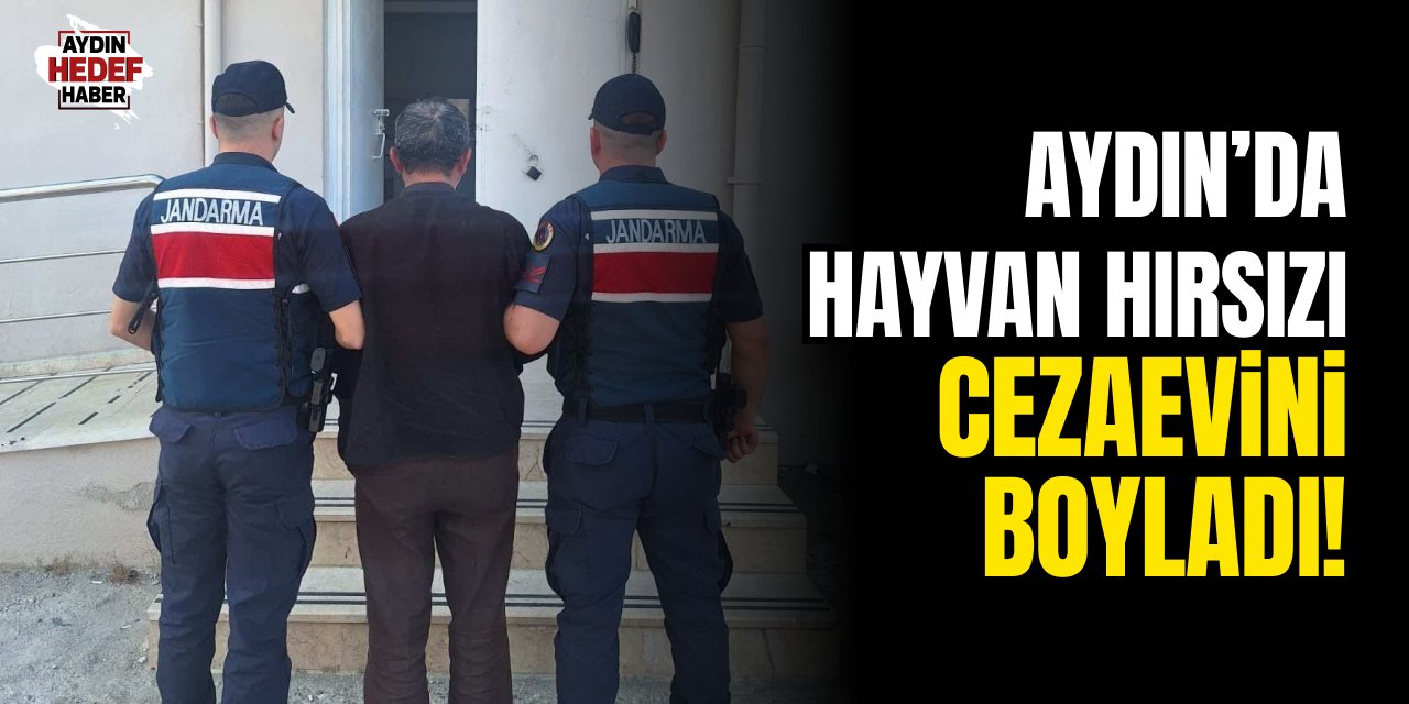 Aydın'da hayvan hırsızı cezaevini boyladı