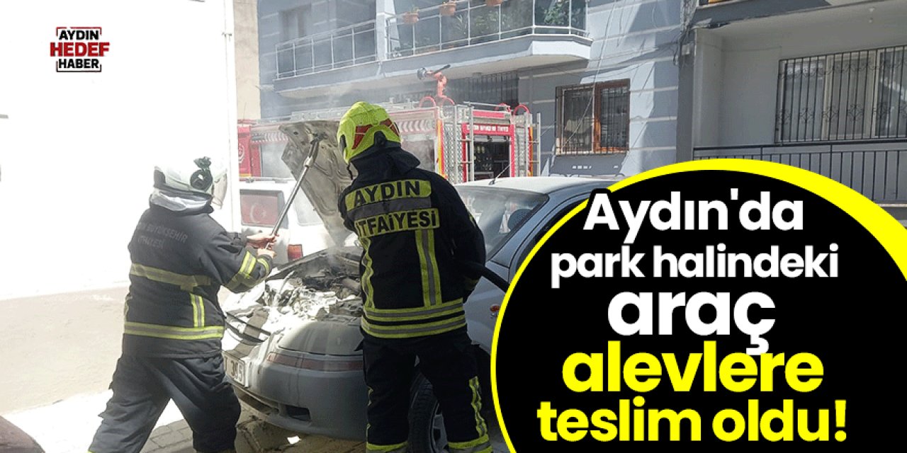Aydın'da park halindeki araç alevlere teslim oldu!