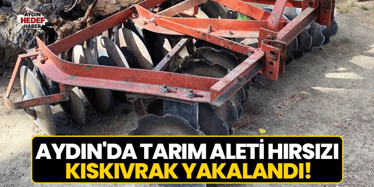 Aydın'da tarım aleti hırsızı kıskıvrak yakalandı!
